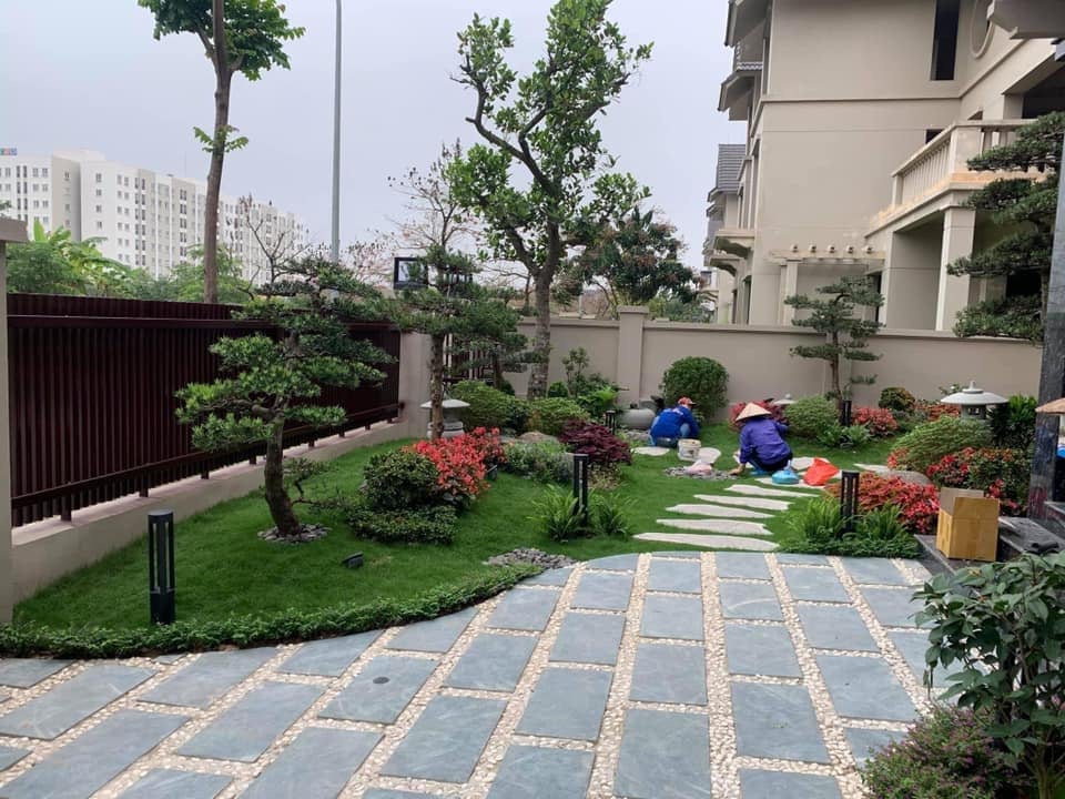 Xanh rêu băm mặt được lát cho khu vực ngoài trời chống trơn trượt tốt